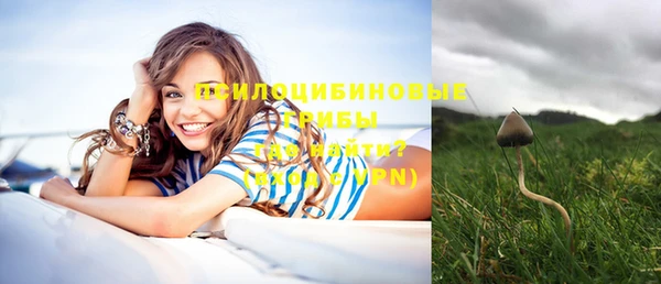 эйфоретик Горнозаводск