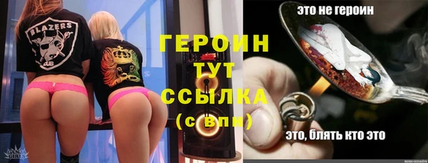 гашик Горняк