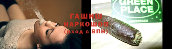 гашик Горняк