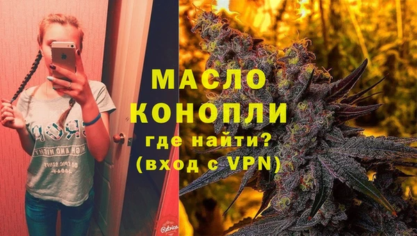 гашик Горняк