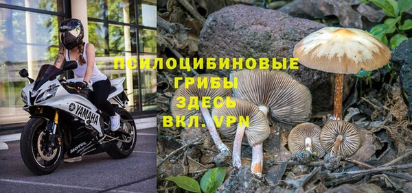 гидропоника Вяземский