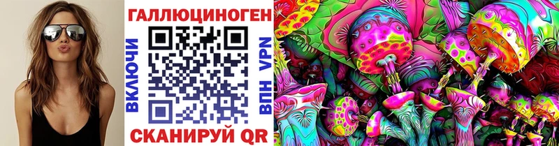 Галлюциногенные грибы Psilocybe  Яранск 